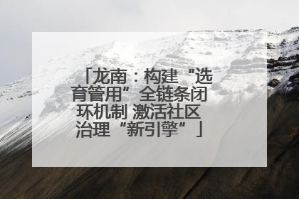 龙南：构建“选育管用”全链条闭环机制 激活社区治理“新引擎”