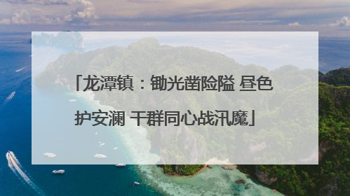 龙潭镇：锄光凿险隘 昼色护安澜 干群同心战汛魔