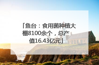 鱼台：食用菌种植大棚8100余个，总产值16.43亿元