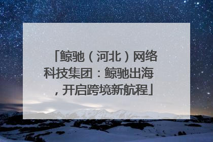 鲸驰（河北）网络科技集团：鲸驰出海，开启跨境新航程