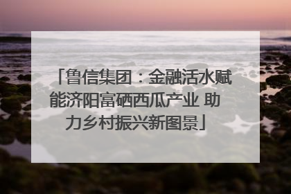 鲁信集团：金融活水赋能济阳富硒西瓜产业 助力乡村振兴新图景