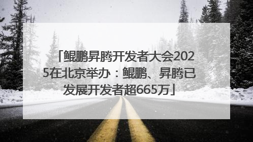 鲲鹏昇腾开发者大会2025在北京举办：鲲鹏、昇腾已发展开发者超665万