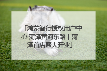 鸿蒙智行授权用户中心·菏泽黄河东路｜菏泽首店盛大开业