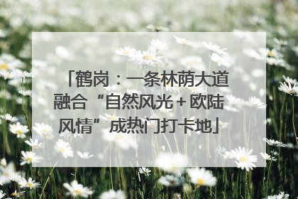 鹤岗：一条林荫大道融合“自然风光＋欧陆风情”成热门打卡地