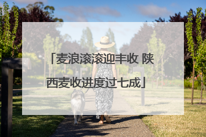 麦浪滚滚迎丰收 陕西麦收进度过七成