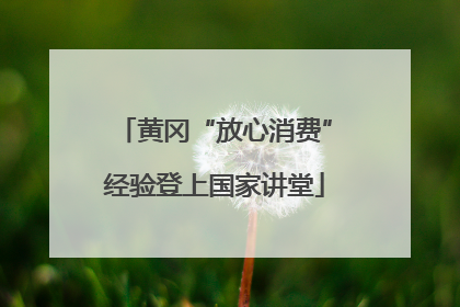 黄冈“放心消费”经验登上国家讲堂
