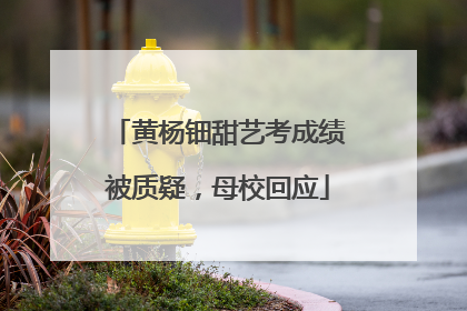 黄杨钿甜艺考成绩被质疑，母校回应