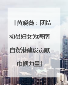 黄晓薇：团结动员妇女为海南自贸港建设贡献巾帼力量