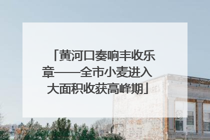 黄河口奏响丰收乐章——全市小麦进入大面积收获高峰期