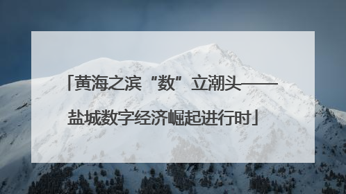 黄海之滨“数”立潮头——盐城数字经济崛起进行时