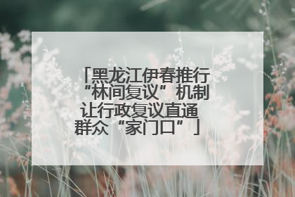黑龙江伊春推行“林间复议”机制 让行政复议直通群众“家门口”