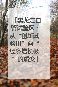 黑龙江自贸试验区：从“创新试验田”向“经济增长极”的质变