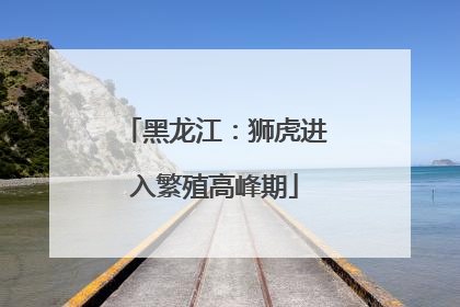 黑龙江：狮虎进入繁殖高峰期