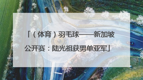 （体育）羽毛球——新加坡公开赛：陆光祖获男单亚军