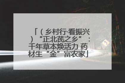 （乡村行·看振兴）“正北芪之乡”：千年草本焕活力 药材生“金”富农家