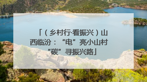 （乡村行·看振兴）山西临汾：“电”亮小山村 “碳”寻振兴路