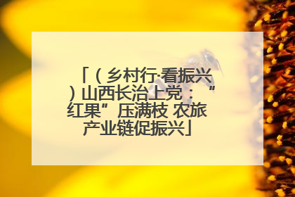 （乡村行·看振兴）山西长治上党：“红果”压满枝 农旅产业链促振兴