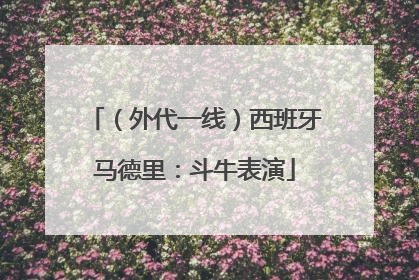 （外代一线）西班牙马德里：斗牛表演