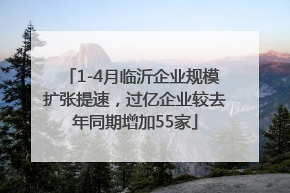 1-4月临沂企业规模扩张提速，过亿企业较去年同期增加55家
