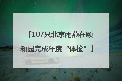 107只北京雨燕在颐和园完成年度“体检”