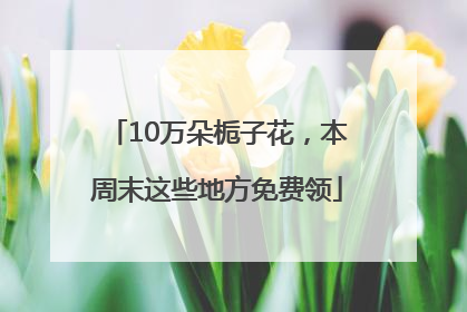 10万朵栀子花，本周末这些地方免费领