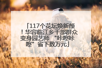 117个花坛焕新颜！华容临江乡干部群众变身园艺师 “咔嚓咔嚓”省下数万元