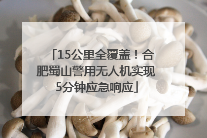15公里全覆盖！合肥蜀山警用无人机实现5分钟应急响应