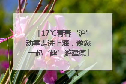 17℃青春‘沪’动季走进上海，邀您一起‘趣’游建德