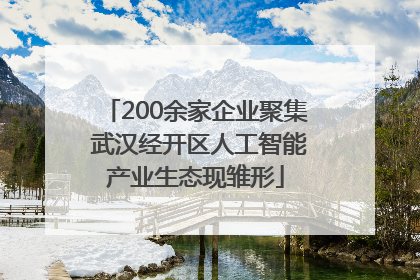 200余家企业聚集 武汉经开区人工智能产业生态现雏形