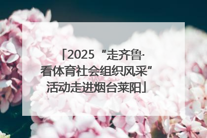 2025“走齐鲁·看体育社会组织风采”活动走进烟台莱阳