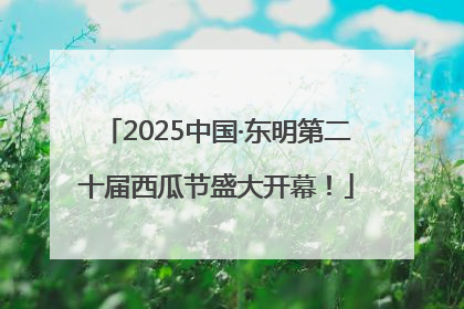 2025中国·东明第二十届西瓜节盛大开幕！