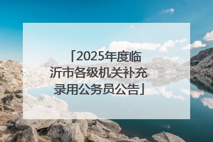 2025年度临沂市各级机关补充录用公务员公告