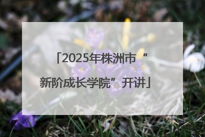 2025年株洲市“新阶成长学院”开讲