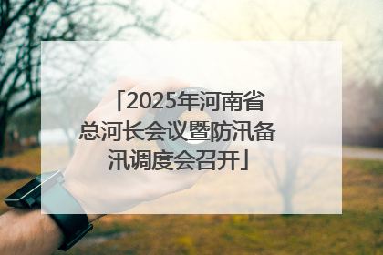 2025年河南省总河长会议暨防汛备汛调度会召开
