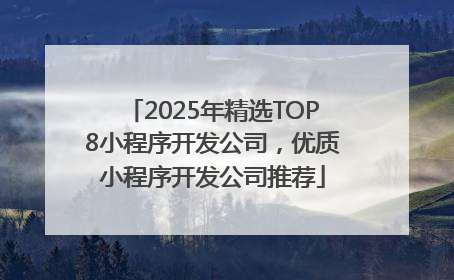 2025年精选TOP8小程序开发公司，优质小程序开发公司推荐