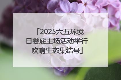 2025六五环境日娄底主场活动举行 吹响生态集结号