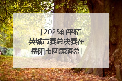2025和平精英城市赛总决赛在岳阳市圆满落幕