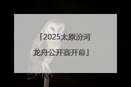 2025太原汾河龙舟公开赛开幕