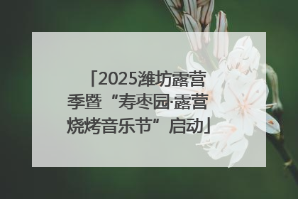 2025潍坊露营季暨“寿枣园·露营烧烤音乐节”启动