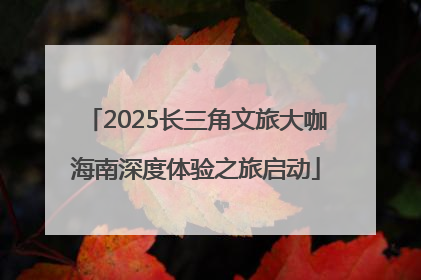 2025长三角文旅大咖海南深度体验之旅启动