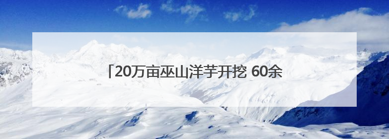 20万亩巫山洋芋开挖 60余名主播齐聚田间直播助农销售