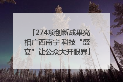 274项创新成果亮相广西南宁 科技“盛宴”让公众大开眼界