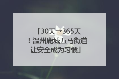 30天→365天！温州鹿城五马街道让安全成为习惯