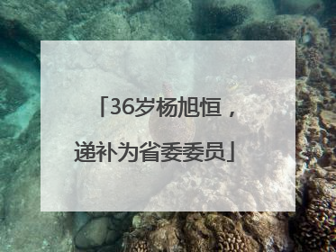 36岁杨旭恒，递补为省委委员