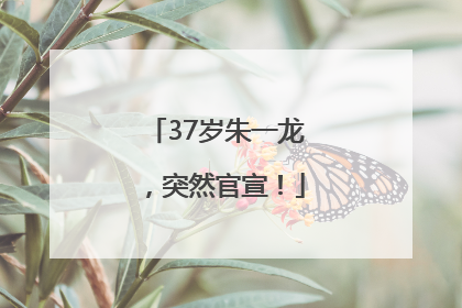 37岁朱一龙，突然官宣！