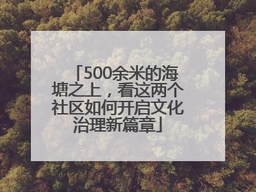 500余米的海塘之上，看这两个社区如何开启文化治理新篇章