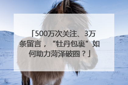 500万次关注、3万条留言，“牡丹包裹”如何助力菏泽破圈？