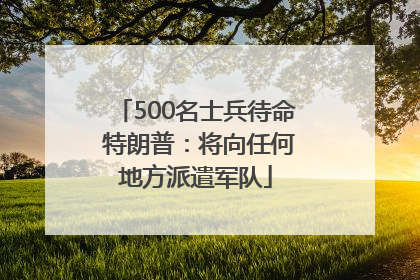 500名士兵待命 特朗普：将向任何地方派遣军队