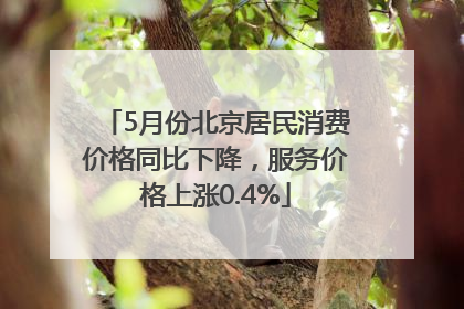 5月份北京居民消费价格同比下降，服务价格上涨0.4%