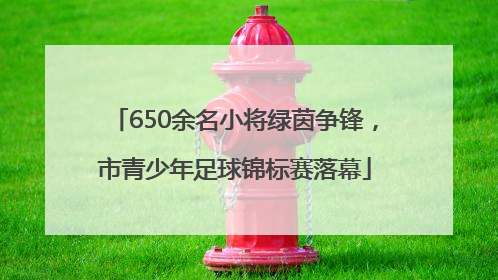 650余名小将绿茵争锋，市青少年足球锦标赛落幕
